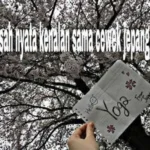 Kisah Nyata Berkenalan Sama Cewek Jepang Bikin Baper